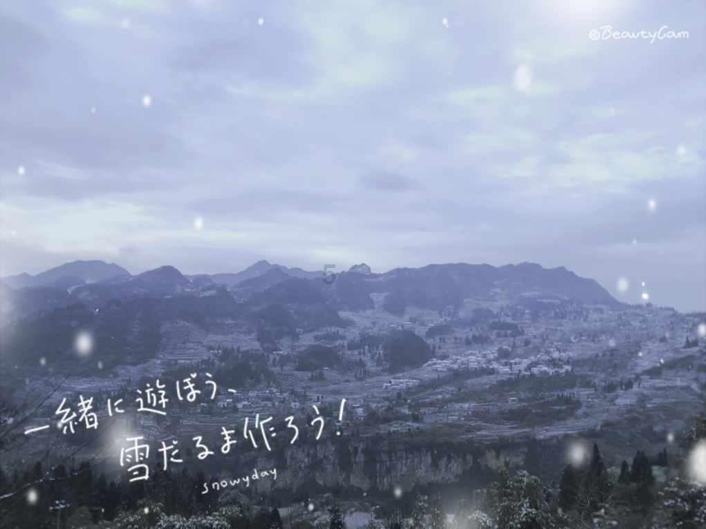泽元安神汤怎么买
