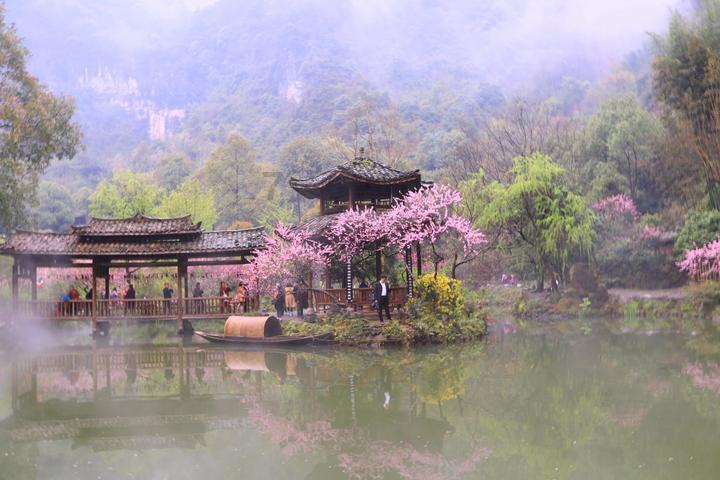 原住民老人救援
