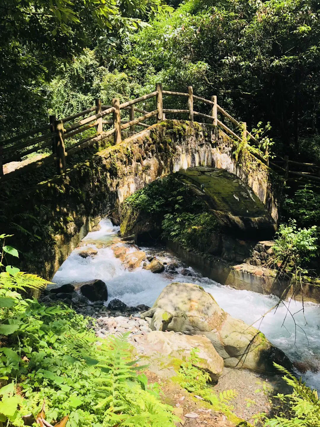 攀登高楼